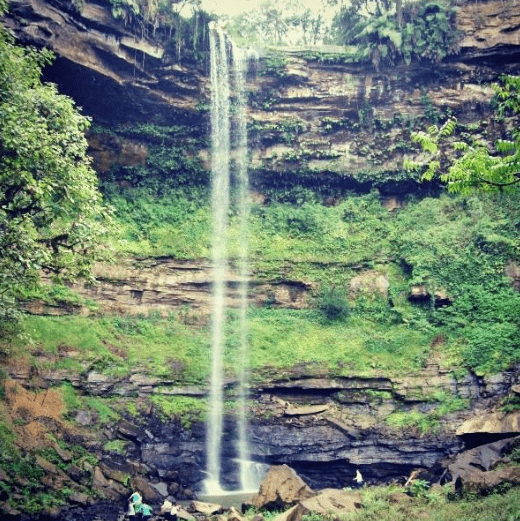 Parque Natural Municipal da Mata Atlantica