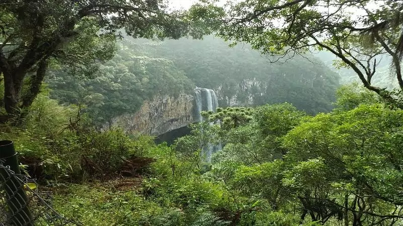Parque Natural da Mata Atlantica proximo a Otacilio Costa – Igaras Hotel 2